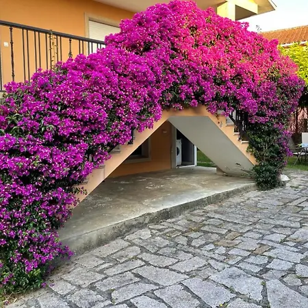 Galihost - Casa Con Piscina A 100 Metros De La Playa, En